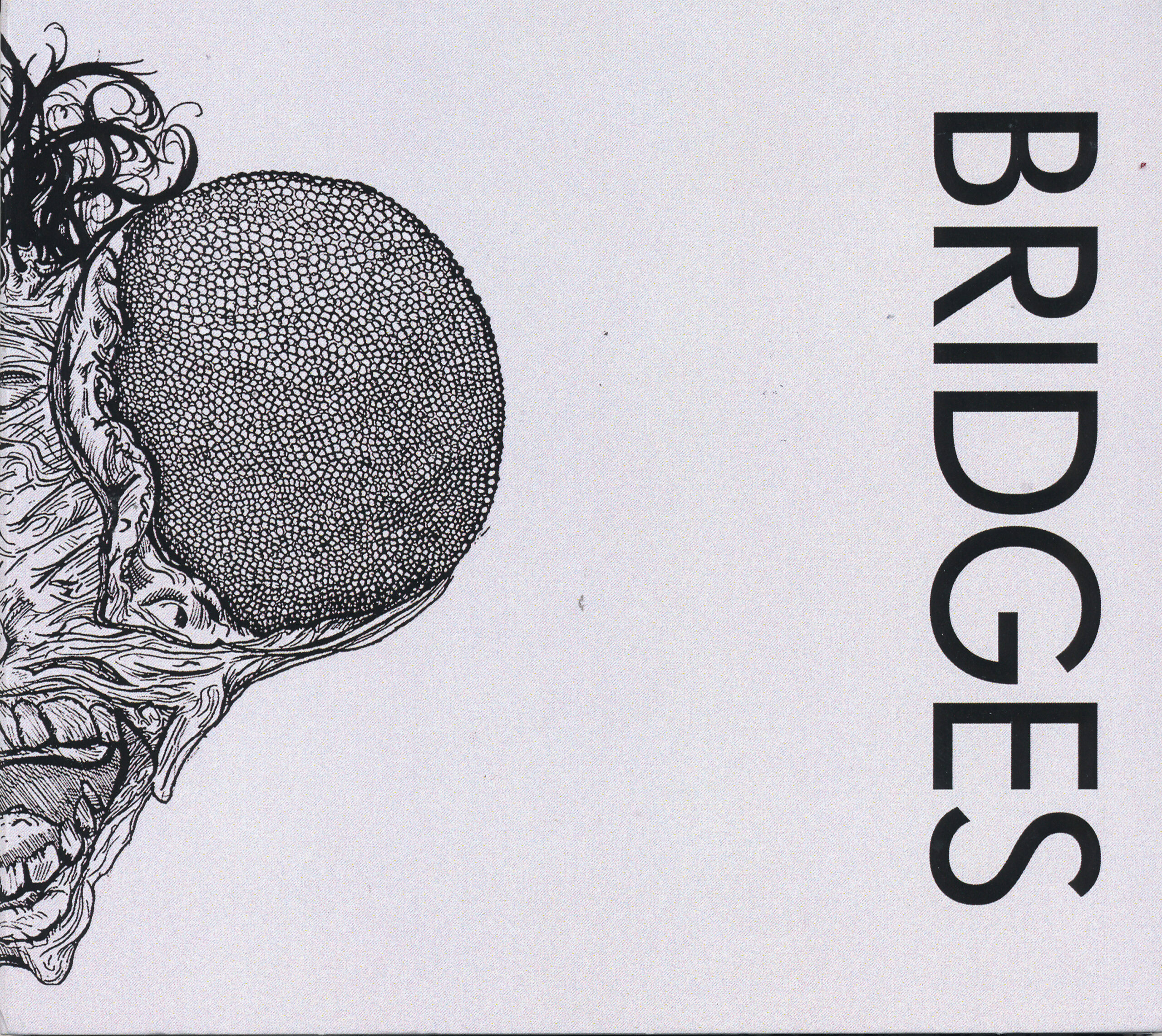 Bridges - Bridges