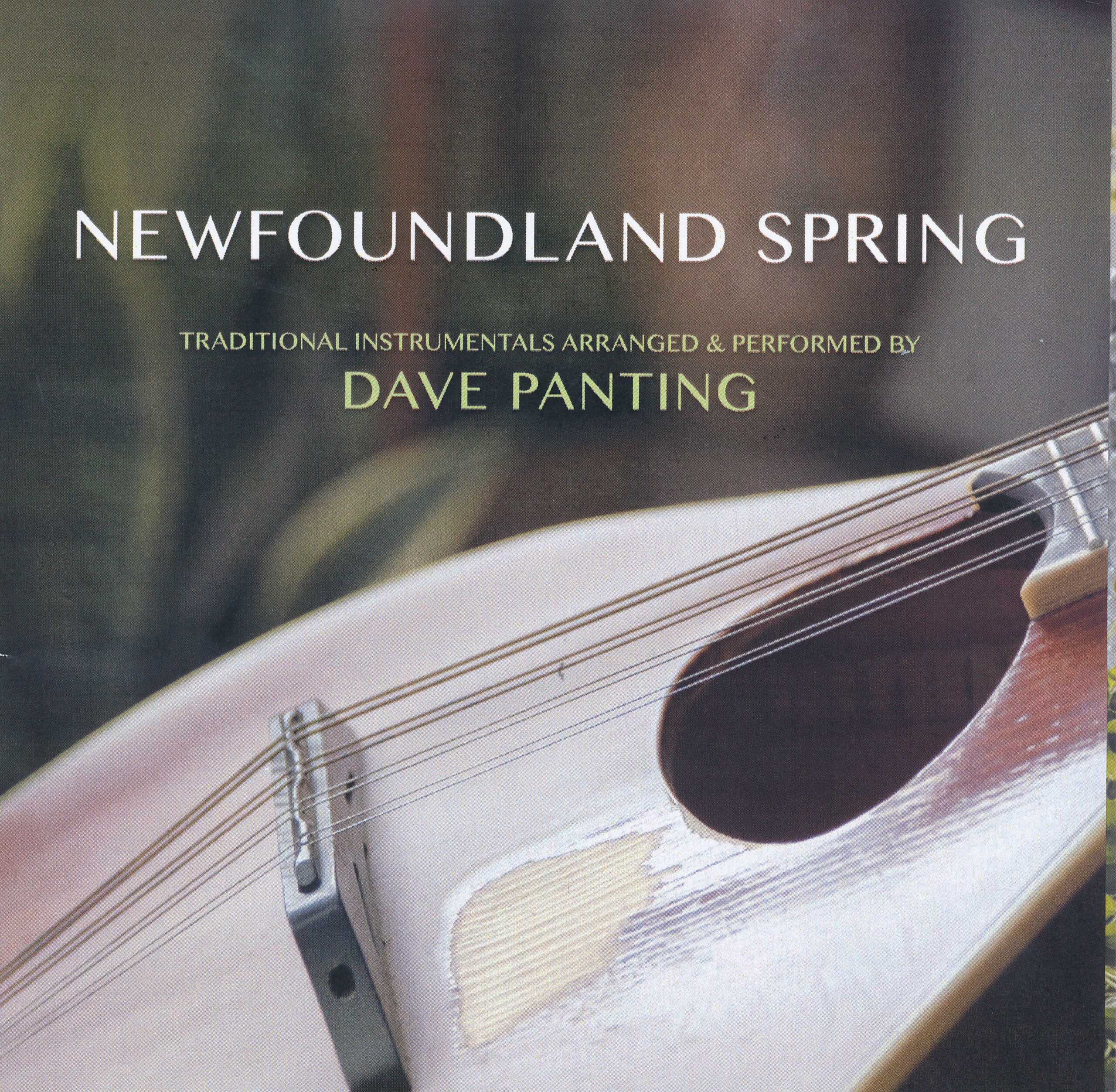 Dave Panting - Newfoundland Spring